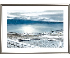 Lavaux, blanc comme son chasselas