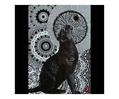 Sans titre : Votre regard raconte une histoire