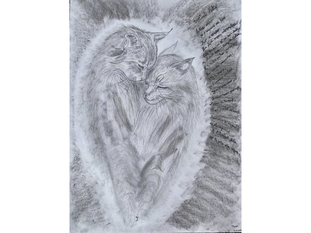 Instinct Félin - 1/3