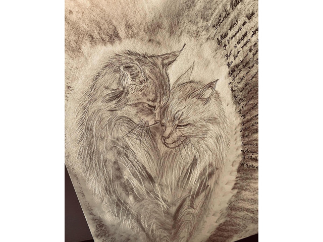 Instinct Félin - 2/3