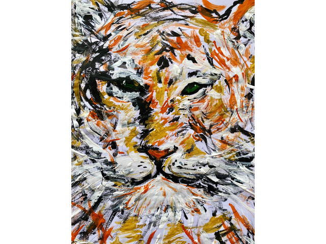 Tiger - 2/2