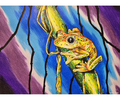 Colors in the Everglades I