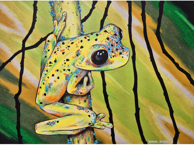 Colors in the Everglades III