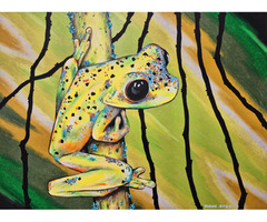 Colors in the Everglades III