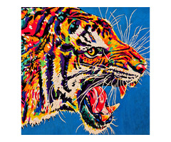 Color is Life - Tigre VII