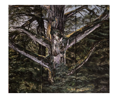 S'étirer avec la nature