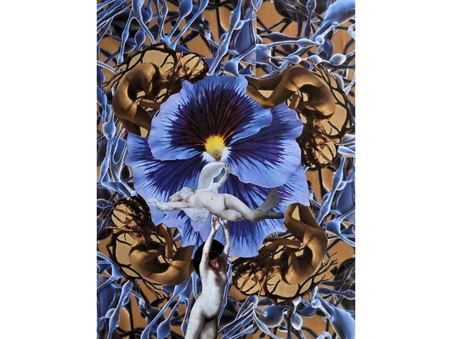 Sans titre : Votre regard raconte une histoire