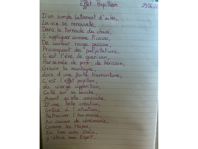 Effet Papillon - 2/3